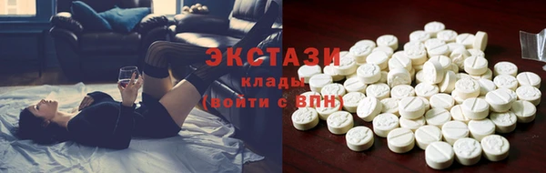 индика Богородицк