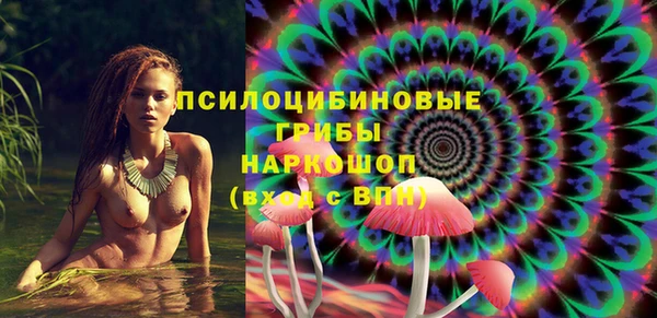 индика Богородицк