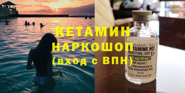 индика Богородицк