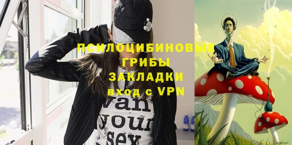 крисы Богданович