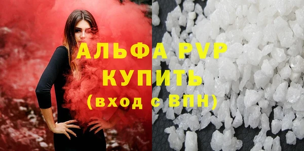 индика Богородицк