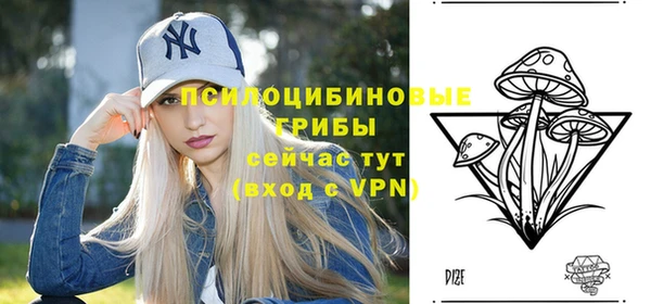 индика Богородицк