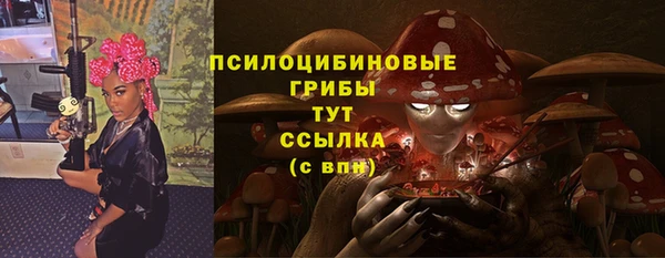 индика Богородицк