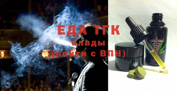 индика Богородицк