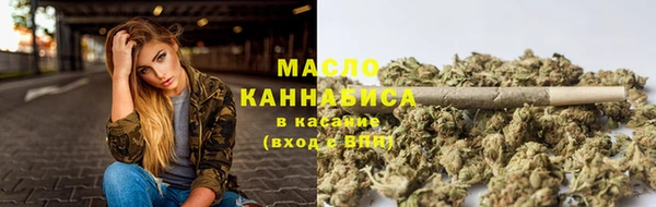 индика Богородицк