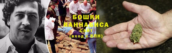 индика Богородицк